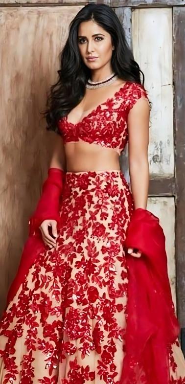 In a ravishing red lehenga by the renowned designer Manish Malhotra, Katrina Kaif looked like a vision at Sonam Kapoor and Anand's reception.